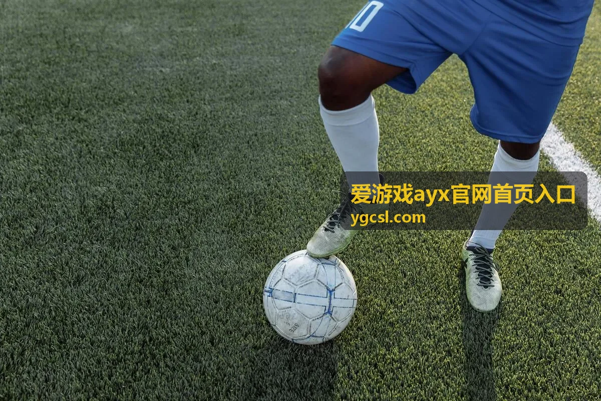 功能板块与使用说明的分类页面示意